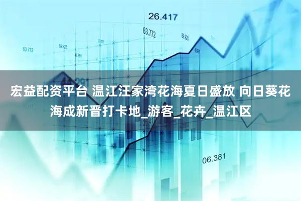 宏益配资平台 温江汪家湾花海夏日盛放 向日葵花海成新晋打卡地_游客_花卉_温江区