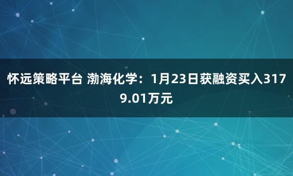 怀远策略平台 渤海化学：1月23日获融资买入3179.01万元