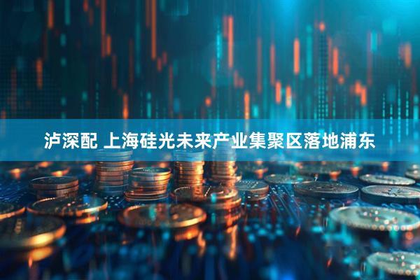 泸深配 上海硅光未来产业集聚区落地浦东