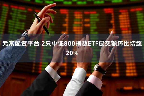 元富配资平台 2只中证800指数ETF成交额环比增超20%